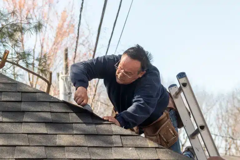 hail damage roof examining roof shingles