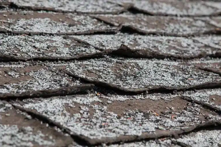 shingle granule loss dealing with curling shingles