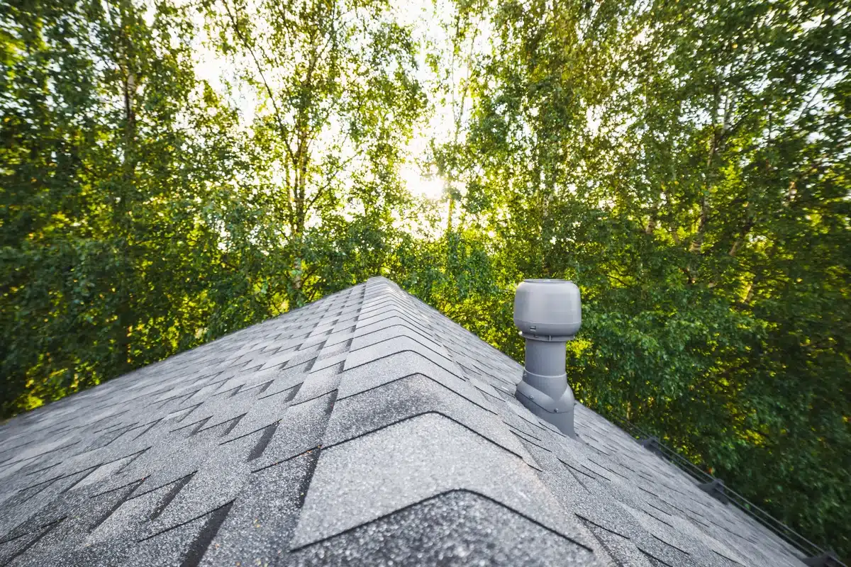 shingle granule loss inspecting roof damage
