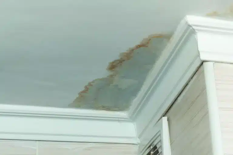 roof-leak-corner