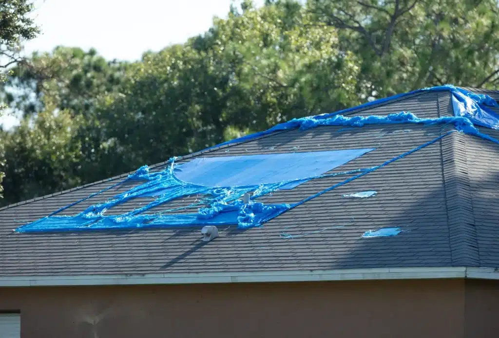 tarp-the-roof