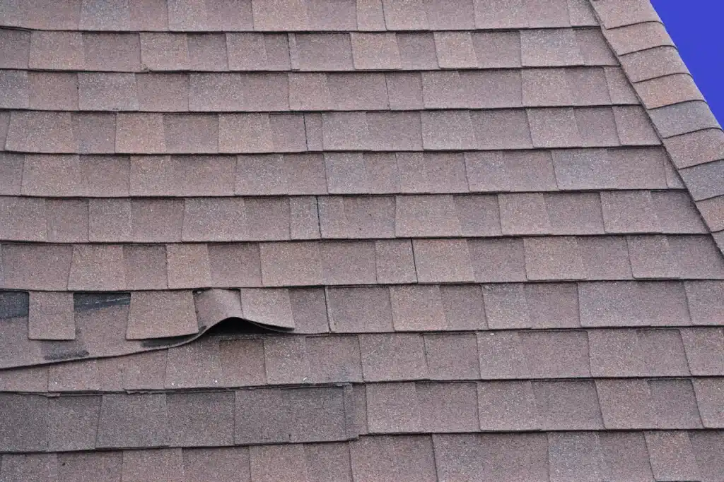lifted-roof-shingles