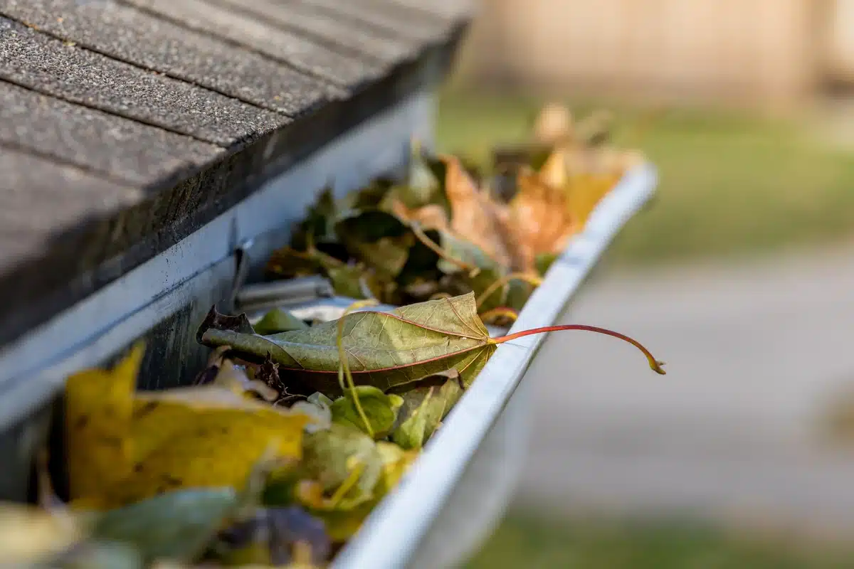 gutters-clogged-leaves-gutter cleaning cost