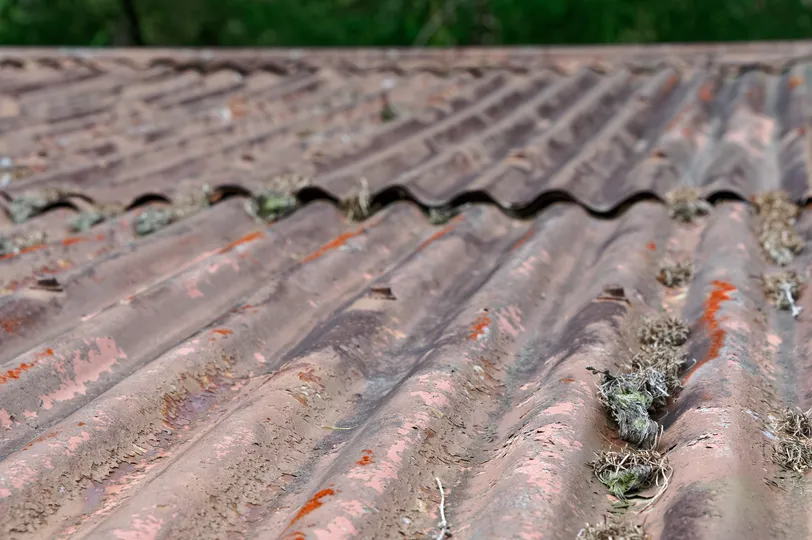 Rusted metal roof in Belbrook
