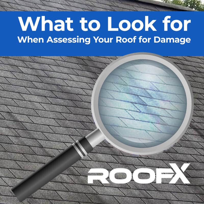 What to Look for when assessing roof damage