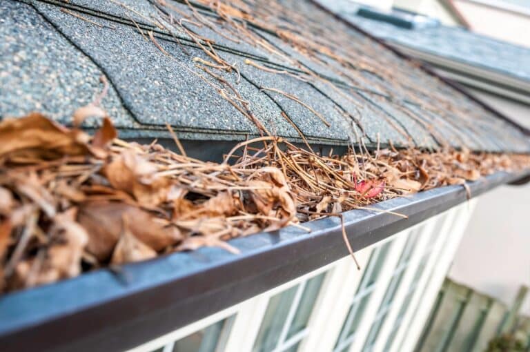 The Hidden Dangers of Clogged Gutters in Fall
